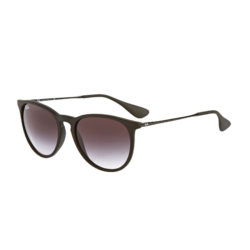 Women's Ray-Ban Sunglasses - Ray-Ban Erika Sunglasses - Black